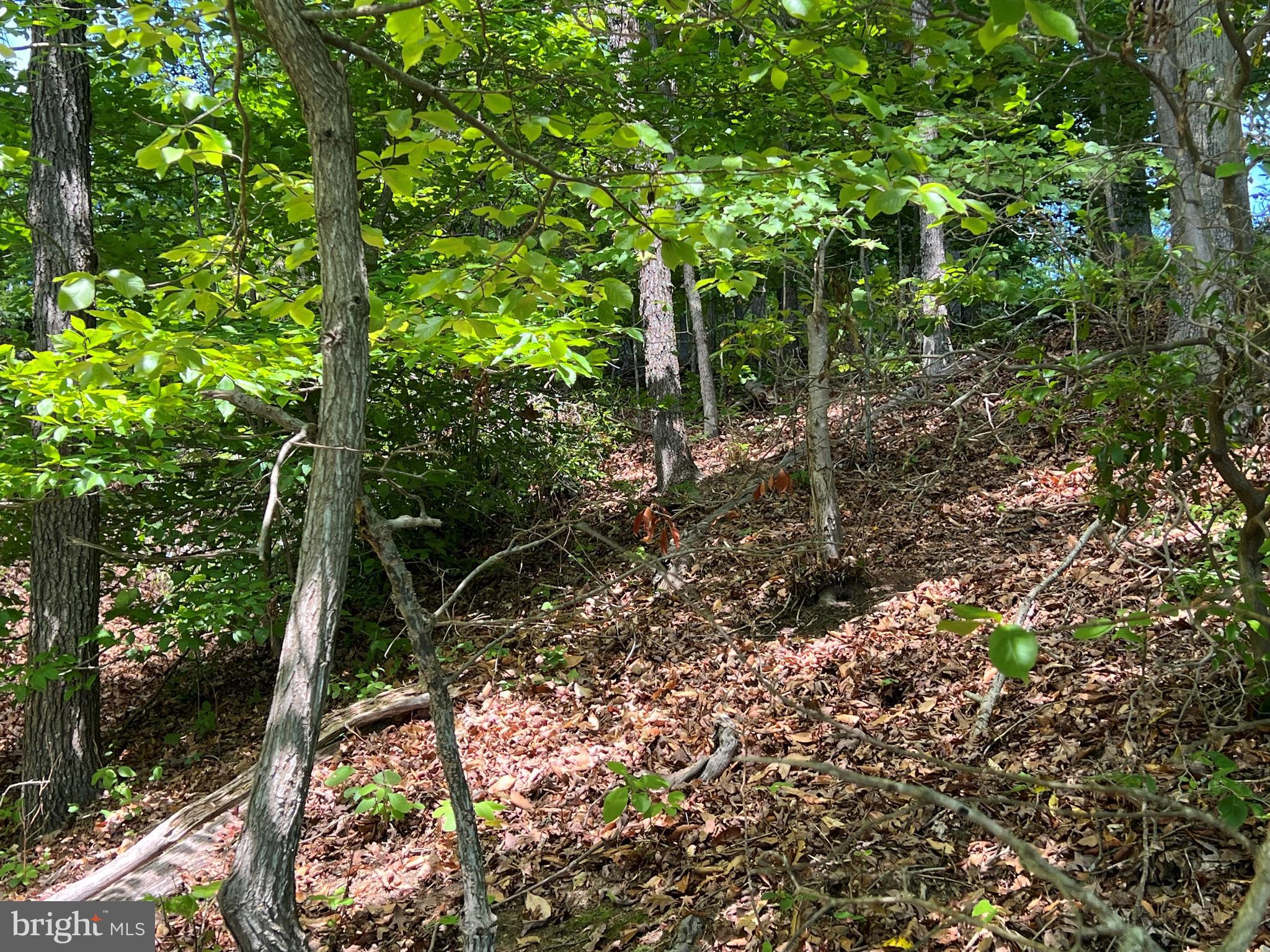 MYSTIC POINTE - Land