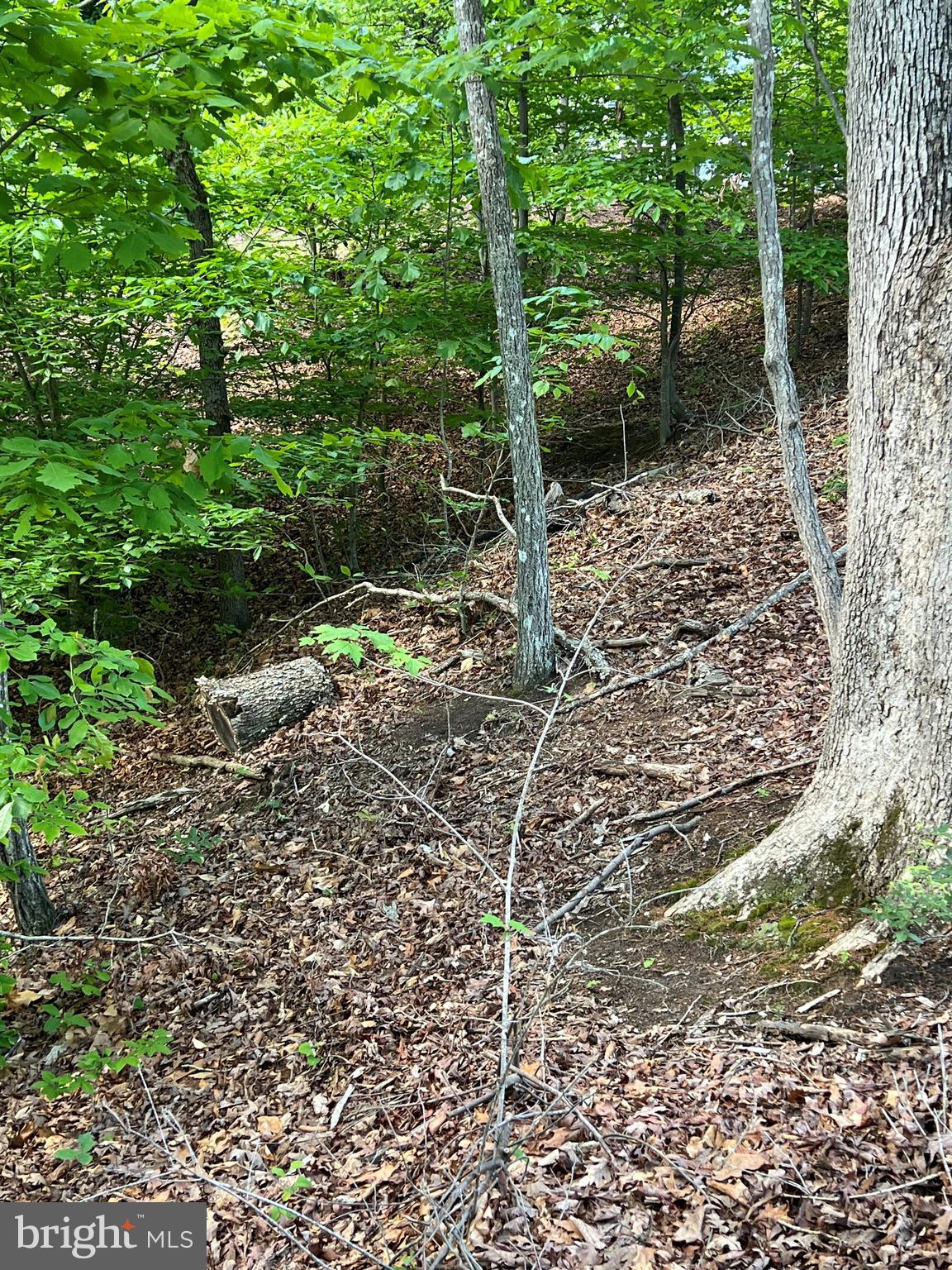 MYSTIC POINTE - Land