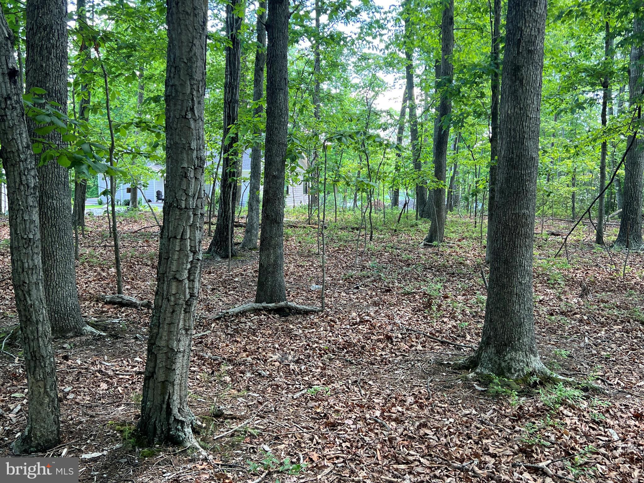 MYSTIC POINTE - Land