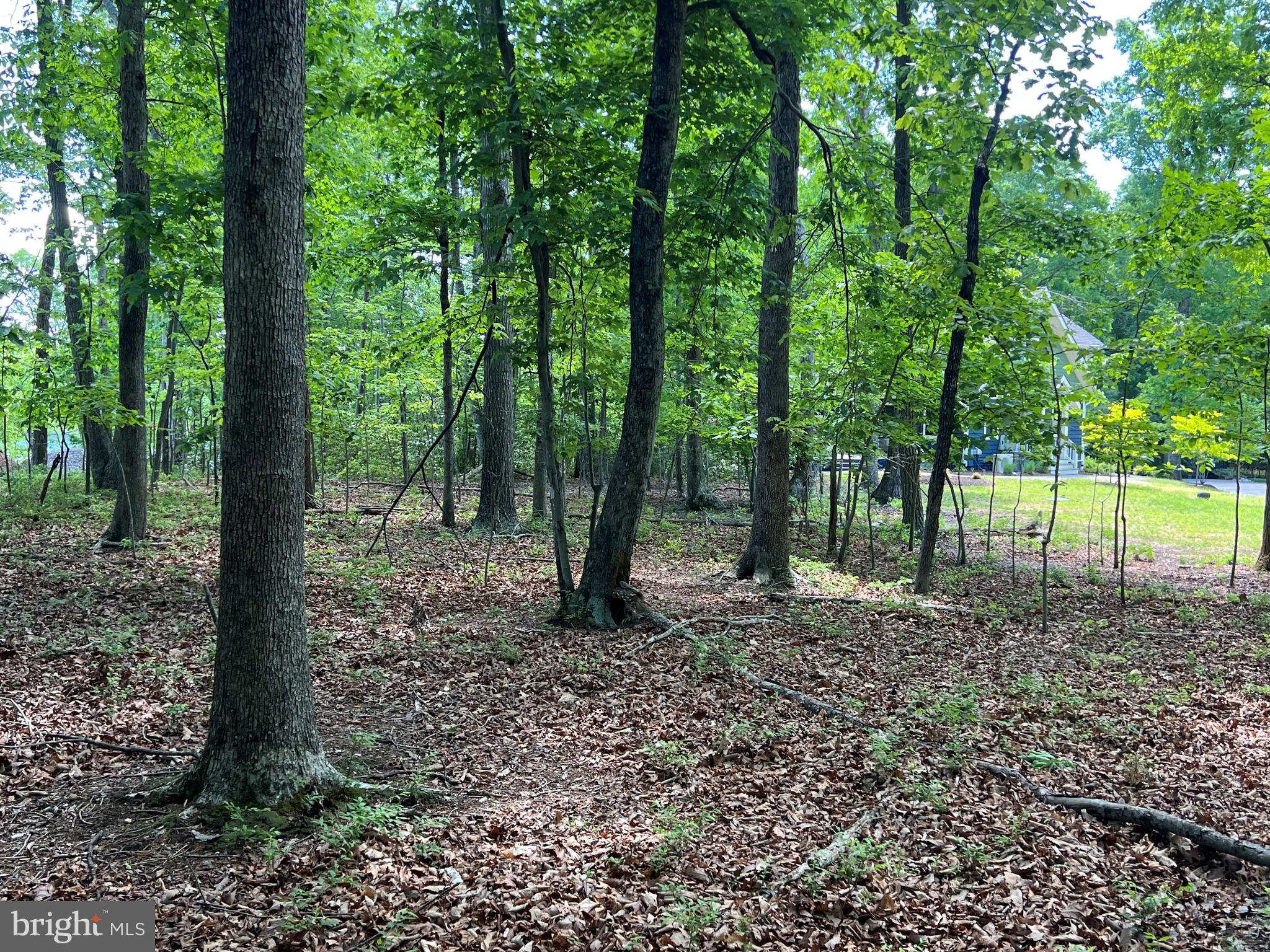 MYSTIC POINTE - Land