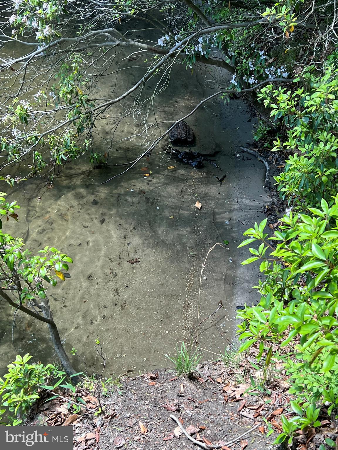 MYSTIC POINTE - Land