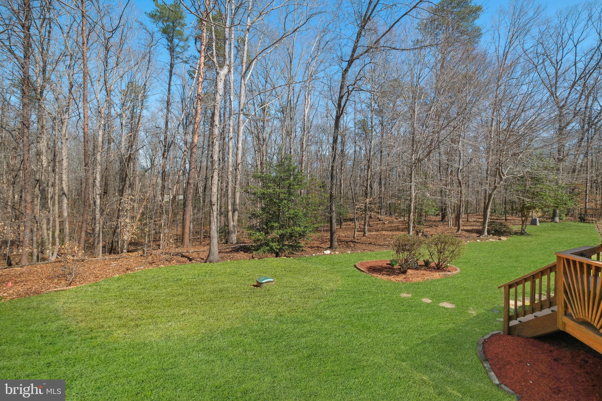 WINDSOR FOREST - Residential