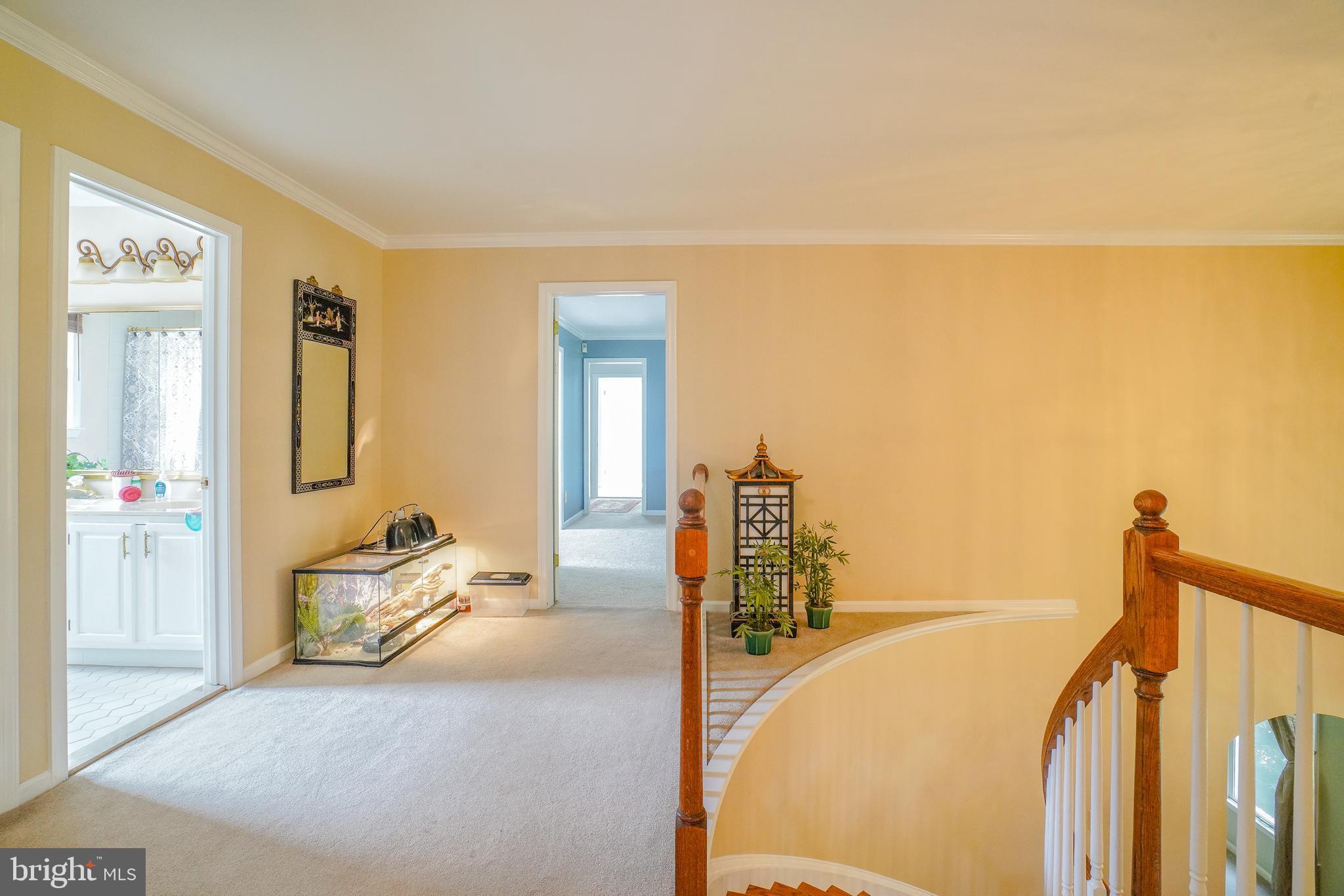 HIGHSPIRE - Residential