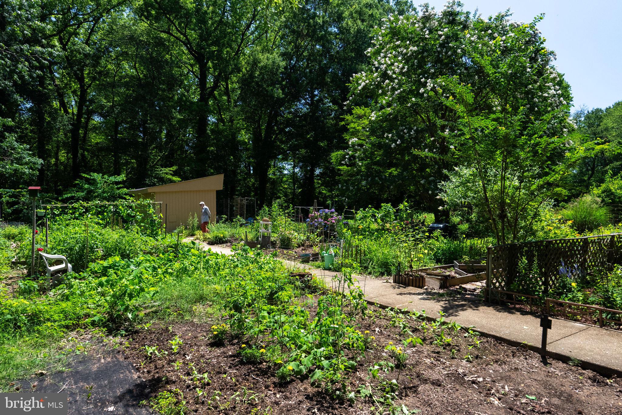 RIVER TOWERS - Residential