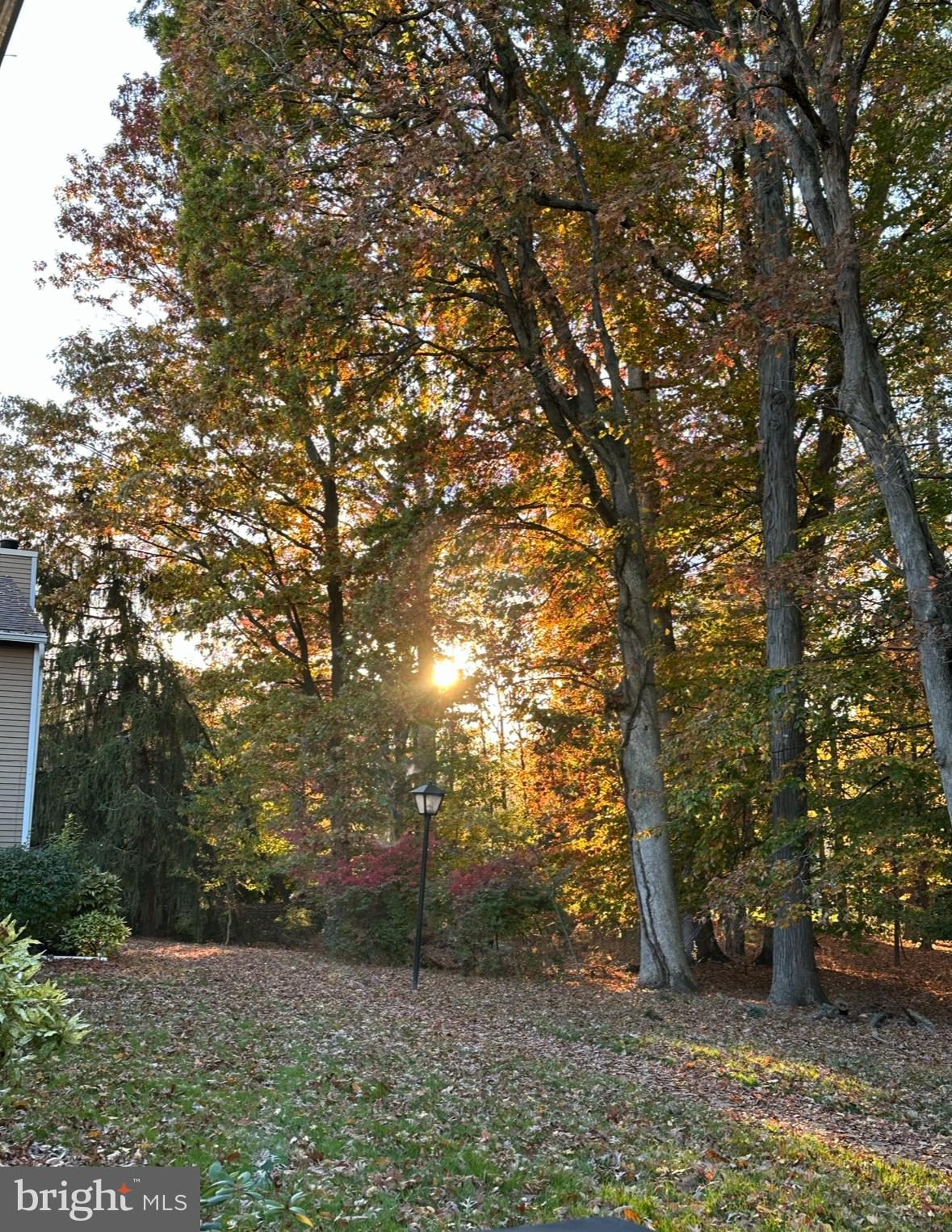 SAW MILL VALLEY - Residential