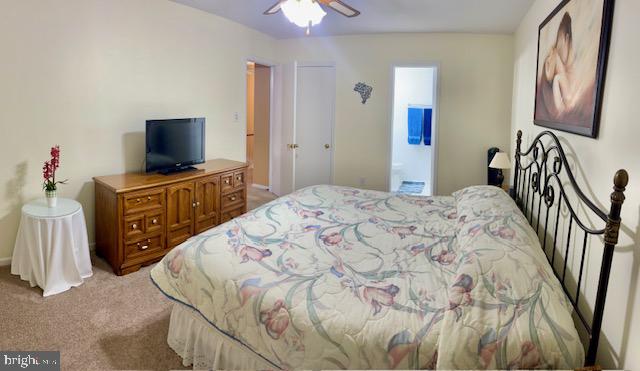 CALVERTON TOWNES - Residential