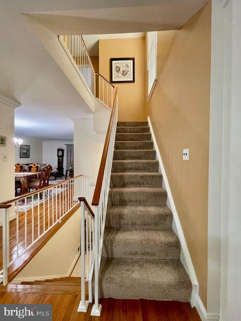 CALVERTON TOWNES - Residential