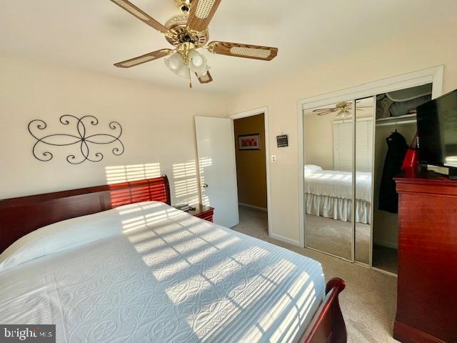 CALVERTON TOWNES - Residential