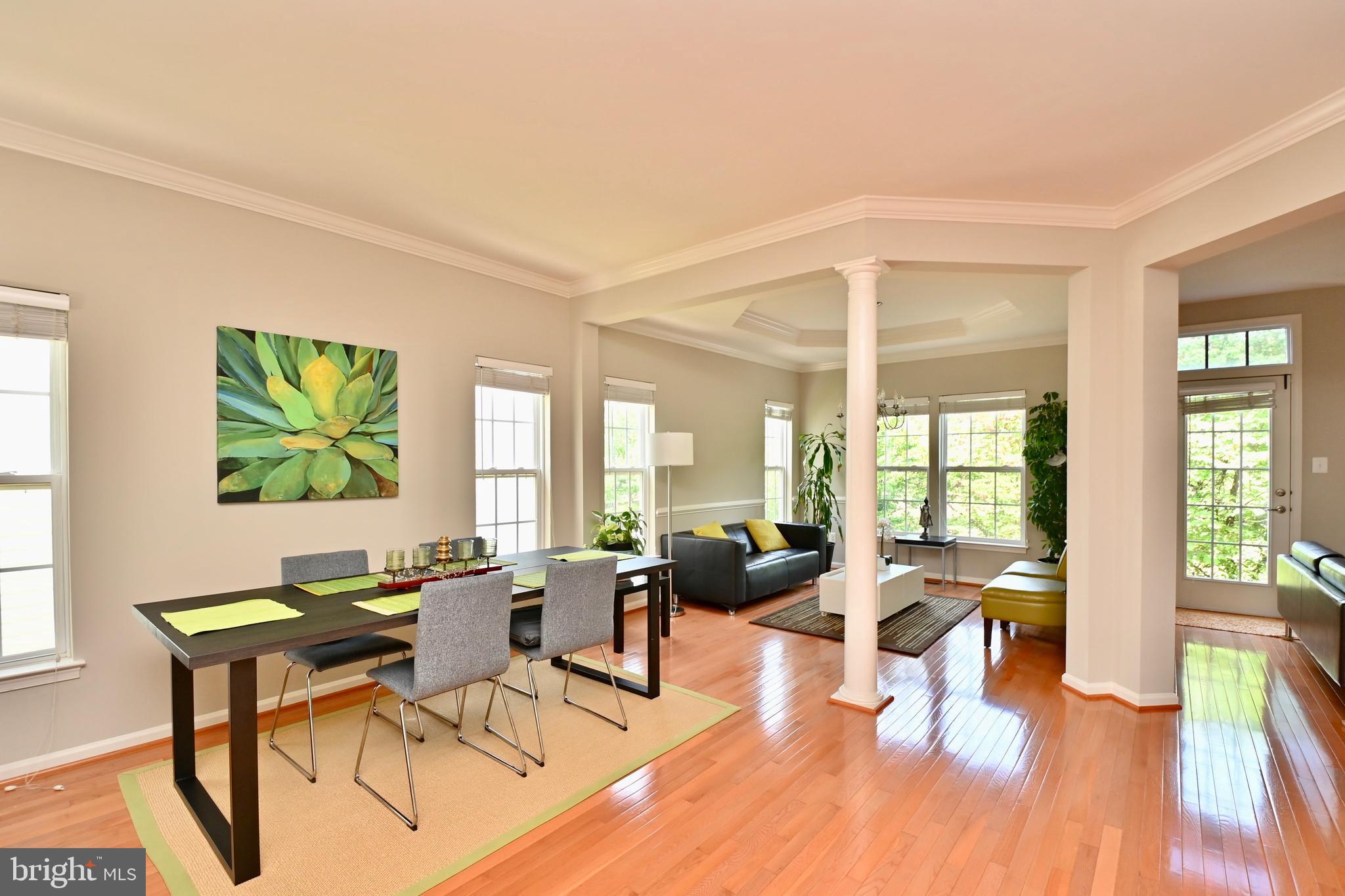 CHANTILLY PLACE - Residential