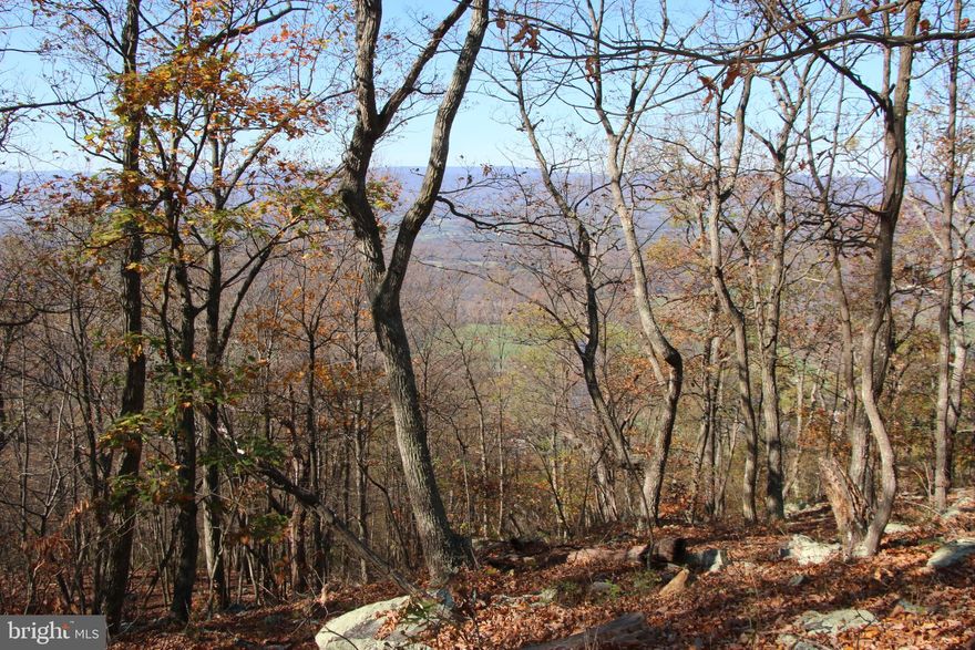 Enjoy private access to the George Washington National Forest with two adjoining boundaries totaling over 1700 ft +/-. Located just minutes south of Strasburg in the Deer Rapids community. This property stretches to the top of the western slope of Massanutten Mountain to an elevation of nearly 1720 ft. Featuring end of the road privacy and seclusion. Incredible year round valley, mountain, and river views are attainable with some tree clearing. The Tuscarora-Doll Ridge Trail runs along the top of Massanutten Mountain which is the southeast boundary for this parcel. Currently used for hunting, hiking, and recreation. Ownership in the Deer Rapids community allows for year round access to all the fun and adventure of the Shenandoah River on two separate waterfront lots. Several roads, multiple trails, and two clearings allow for great access to the majority of the acreage. The timber is in various stages of development and beautiful rock formations are located at the higher elevations of this tract. Terrific hunting opportunities for deer, turkey, bear, and small game. This land is zoned C-1 and the entrance is gated to keep those unwanted guests out. Currently enrolled in the county’s forestry land use program to save on taxes. Picnic tables, target stand, tree stands, and firewood all convey with the sale.