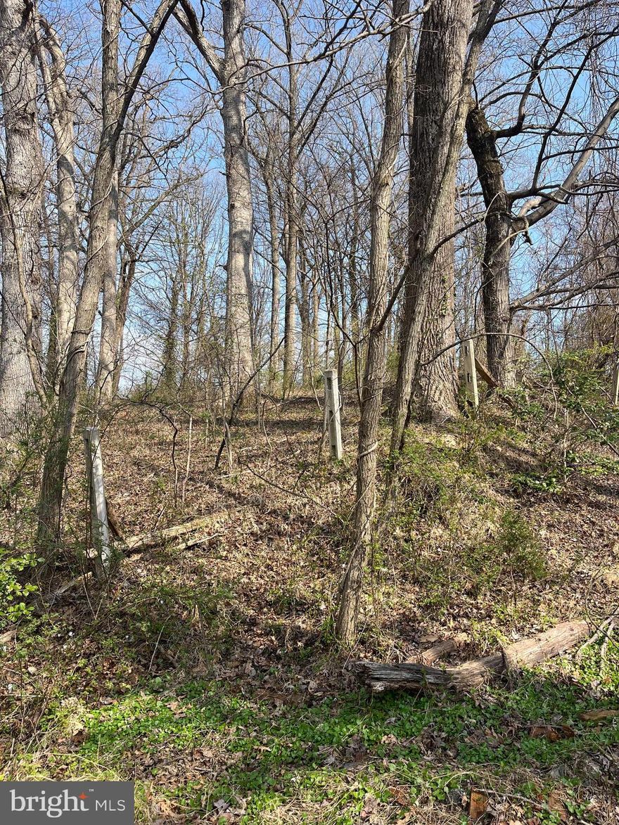 This property has been in the same family for generations. And the plan was always to build 2 homes side by side. This property has never been perc, but the area has good soil & the Owners have been told by the County that there is no reason that the property couldn't be divided in half. But the current owners do not want to deal with the work to do so & it is priced accordingly. The "low area" across from the for sale sign is part of the property for sale, but clearly not the area to build on. Reach out to the County for any perc related questions. Sellers are opened to a reasonable perc contingency.