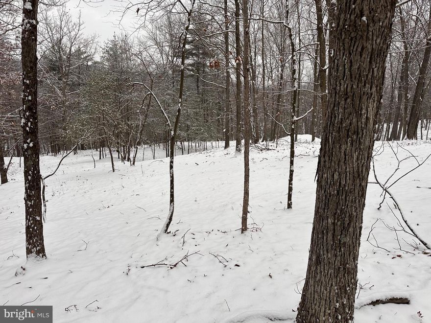 Very nice 7 acre building lot.  Nice little stream runs on the back side of the property.  Great location puts you close to Cacapon State Park and just a quick drive into town.  Plenty of possible sites to pick to build on.  Gently rolling topography and nicely wooded.  A must see!