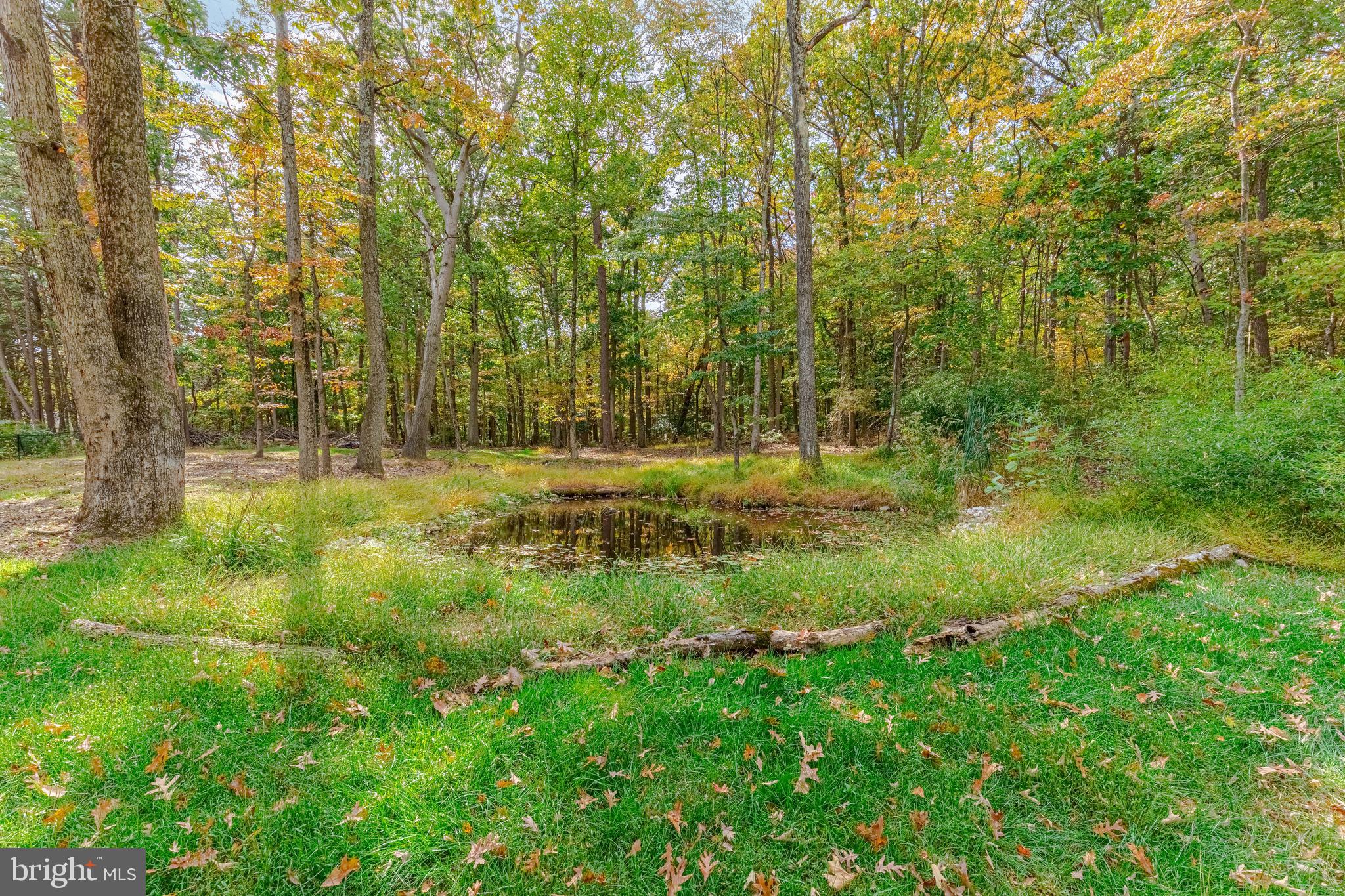 STRAWBERRY HILLS - Residential