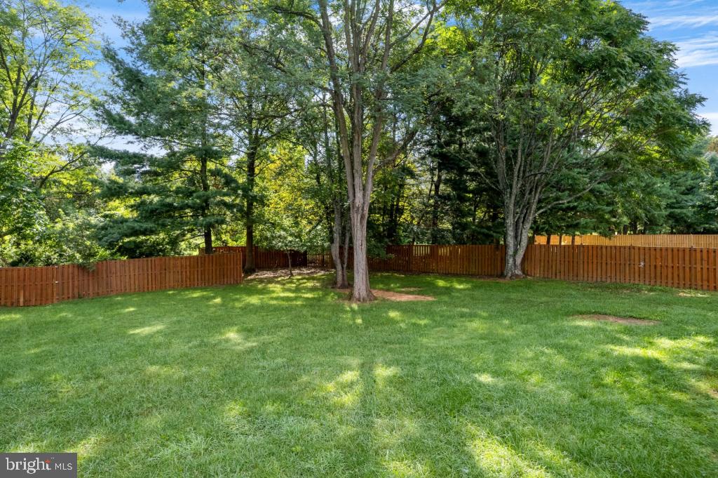 MEADOWS OF MINNIEVILLE - Residential