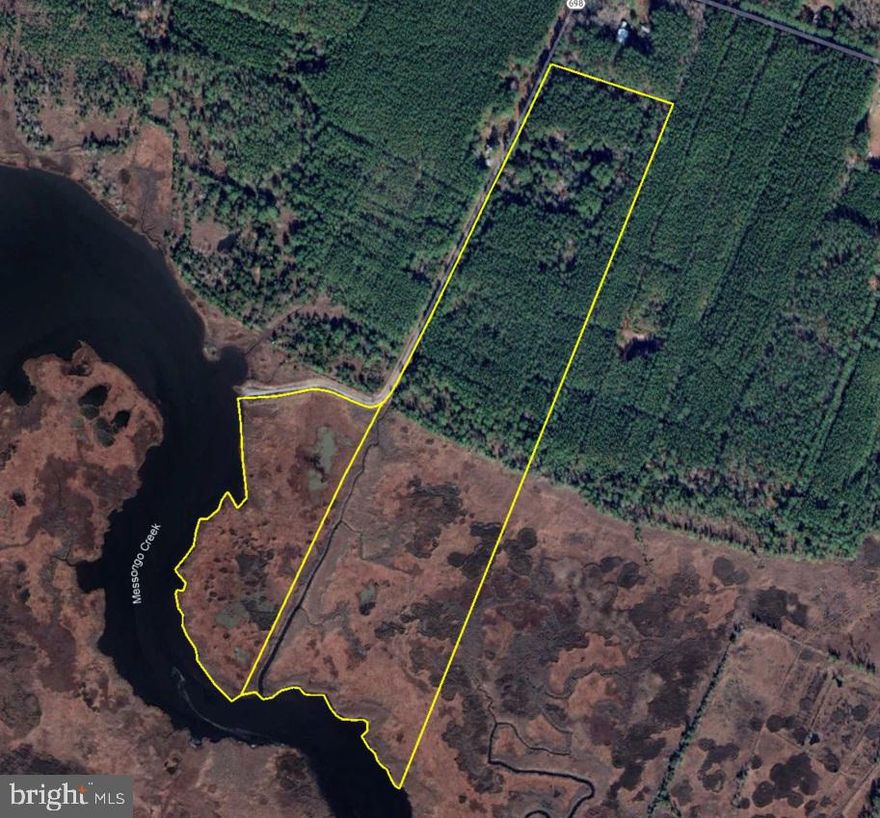 62.63+- acres in two parcels located on Messongo Creek in North West Accomack County. 25+- acres in timber with a mixture of pine and hardwood with the remainder in tidal marsh. Tract provides ideal habitat for whitetail and other upland species. Over 2,600+- feet of frontage on the creek! Unimproved boat ramp located directly adjacent to property at the end of Marsh Market Rd suitable to launch small boats and kayaks. Creek leads out to Beasley Bay and Pocomoke Sound  No Conservation Easements. Short drive to Saxis and Chincoteague