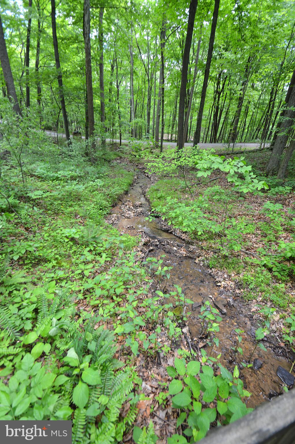 COOLFONT MOUNTAINSIDE - Residential