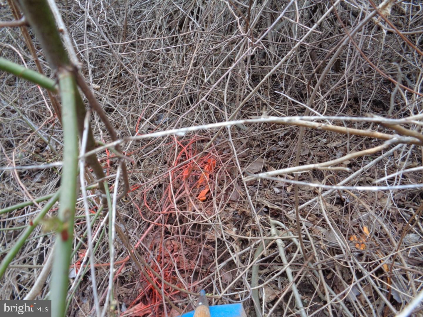 FULTON TWP - Land