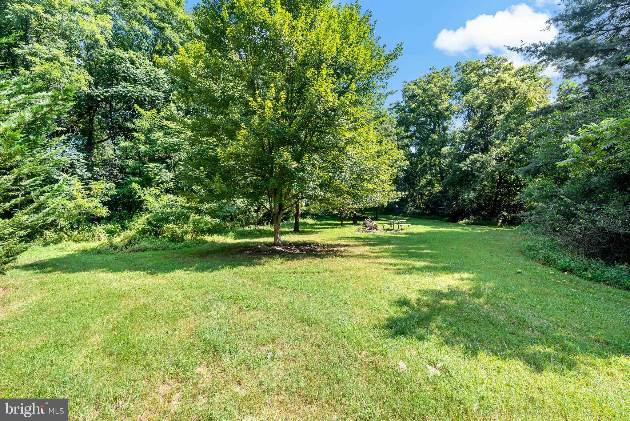 POTOMAC FOREST ESTATES - Residential