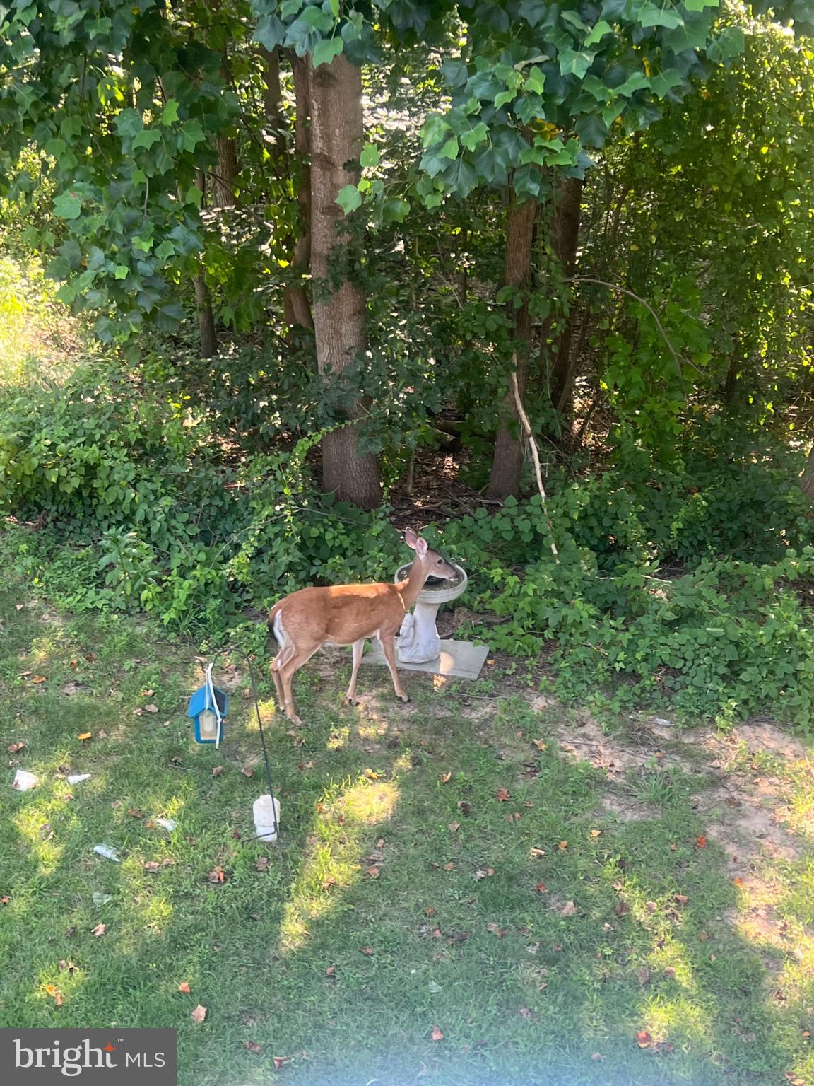 TIMBERLEIGH - Residential