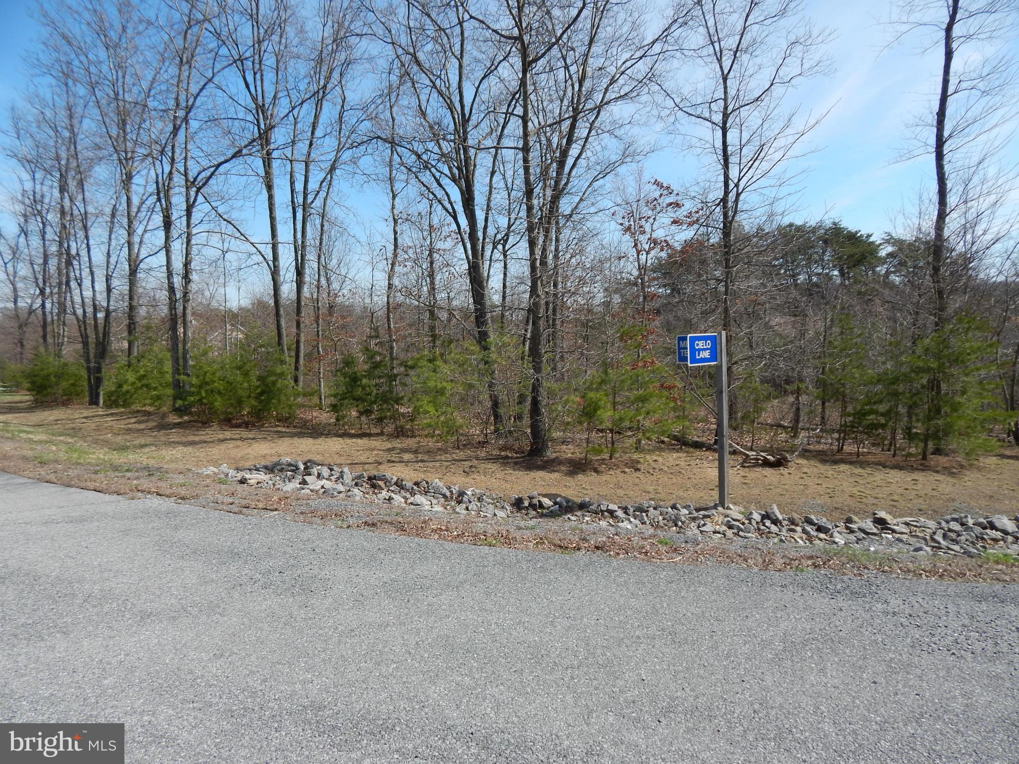 CACAPON SOUTH - Land