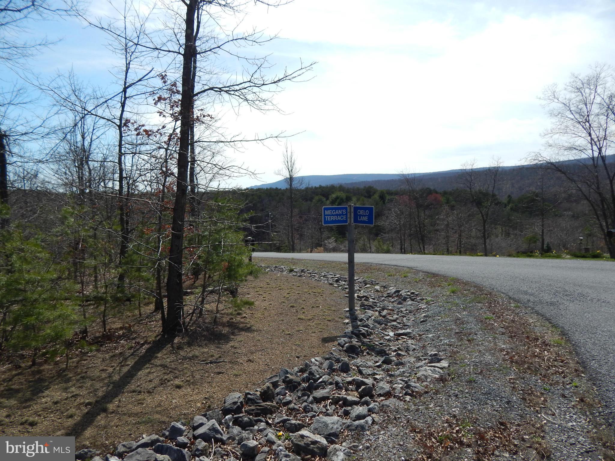 CACAPON SOUTH - Land