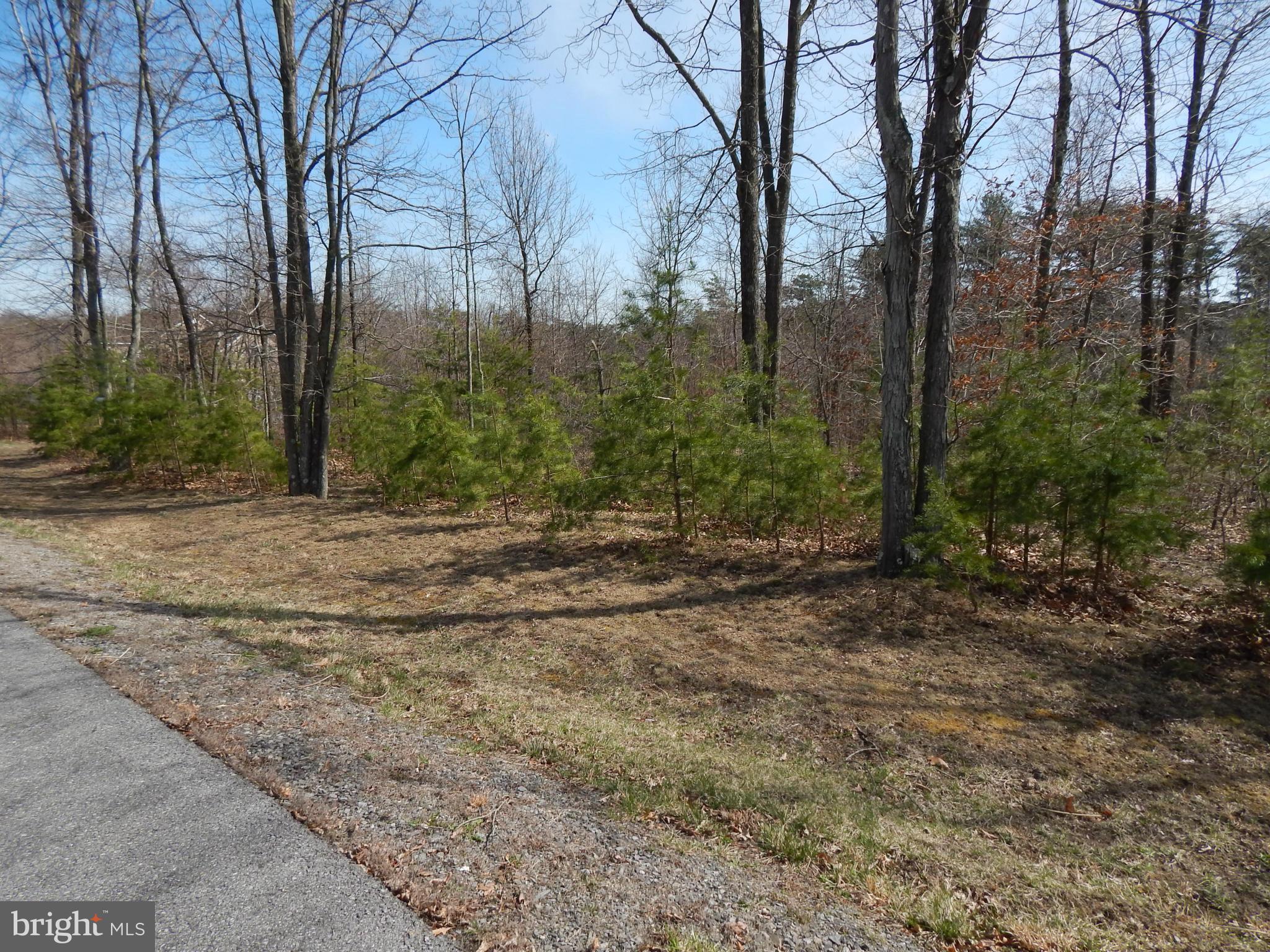 CACAPON SOUTH - Land