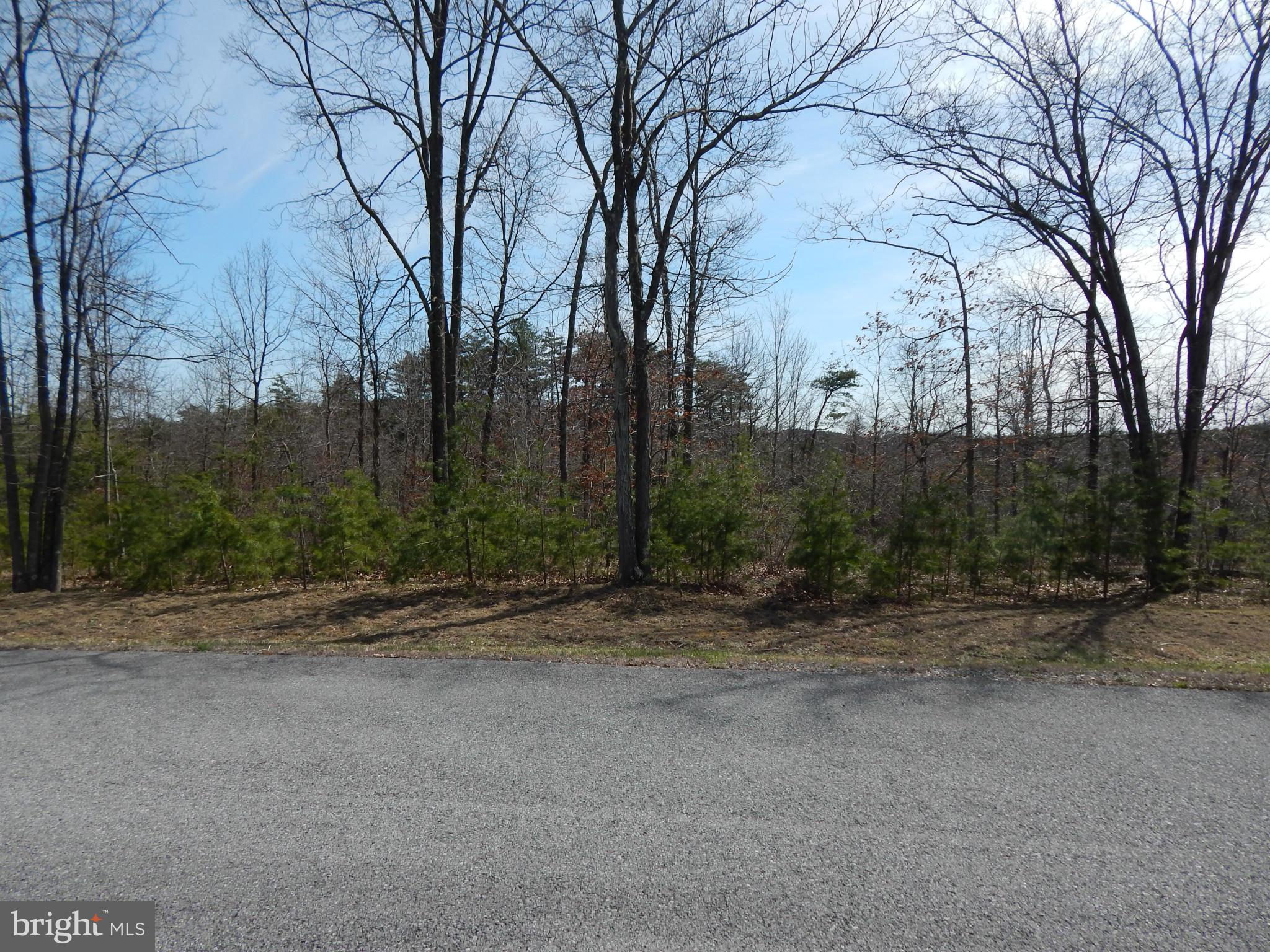 CACAPON SOUTH - Land