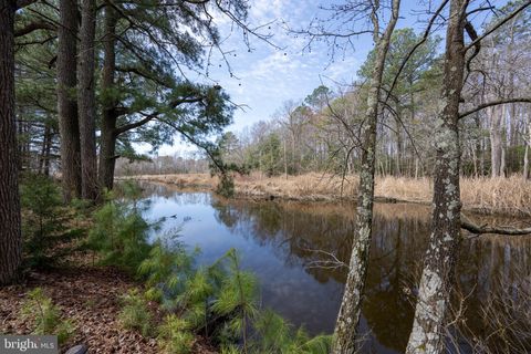 Tiny photo for 11244 W Marie Drive, BISHOPVILLE, MD 21813 (MLS # MDWO2037120)