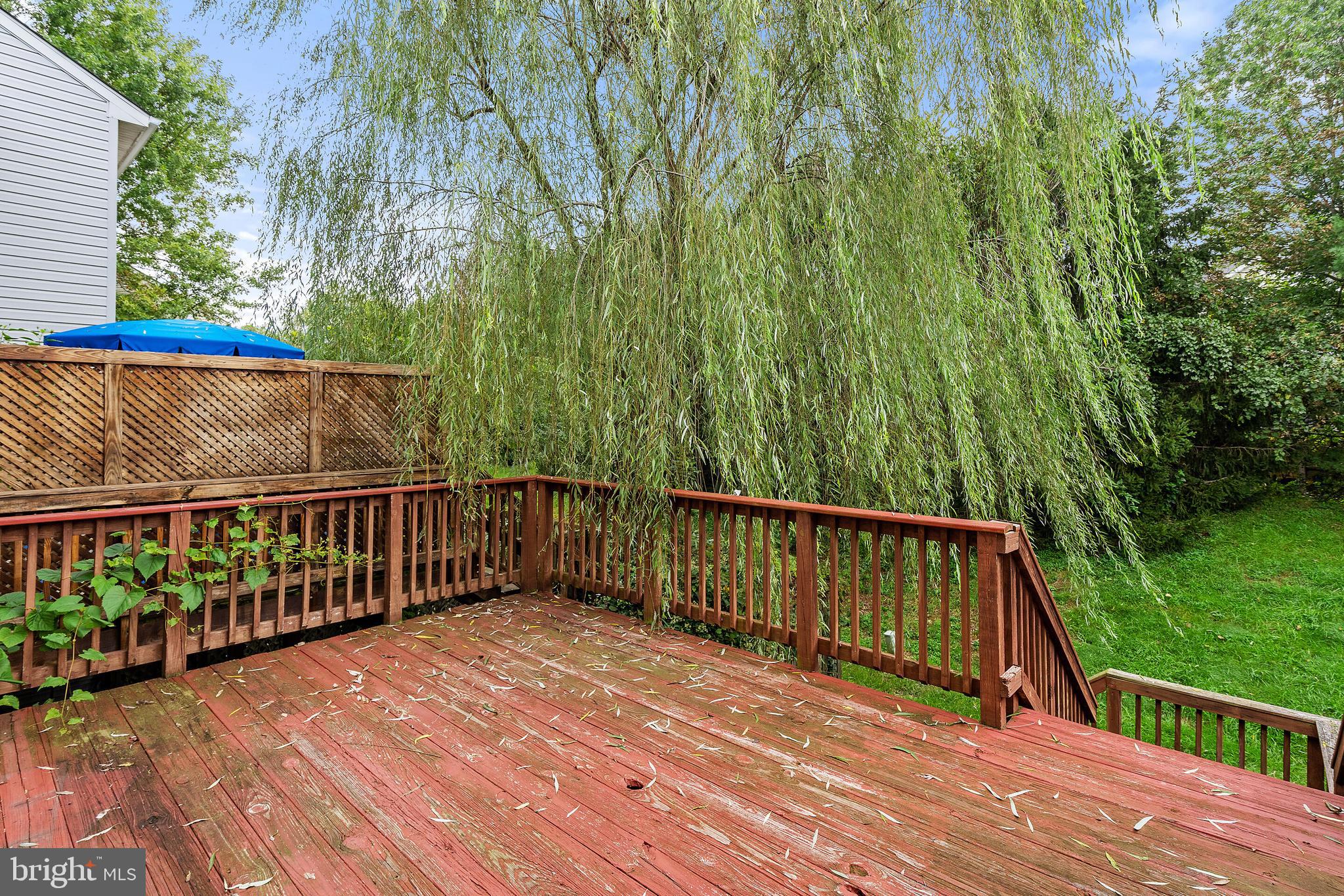 HIGHLAND - Residential Lease