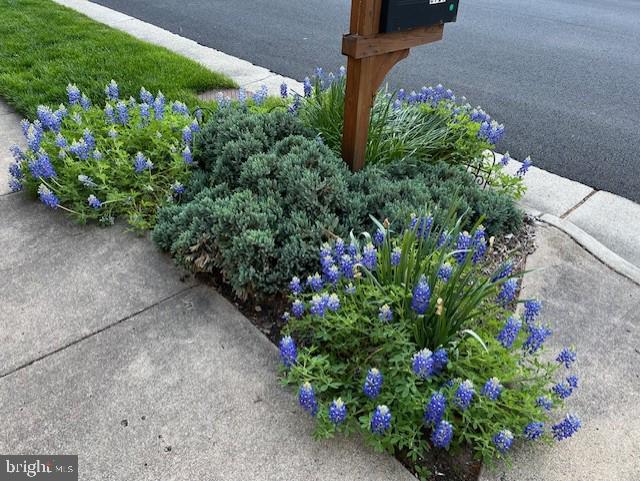 FAIR OAKS GLEN - Residential