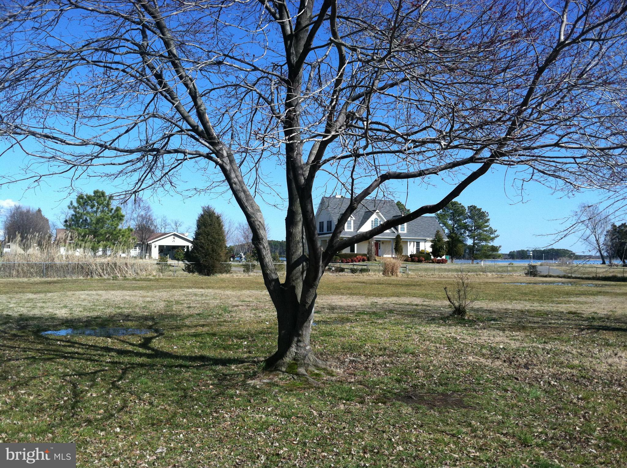 PINEY POINT - Residential Lease