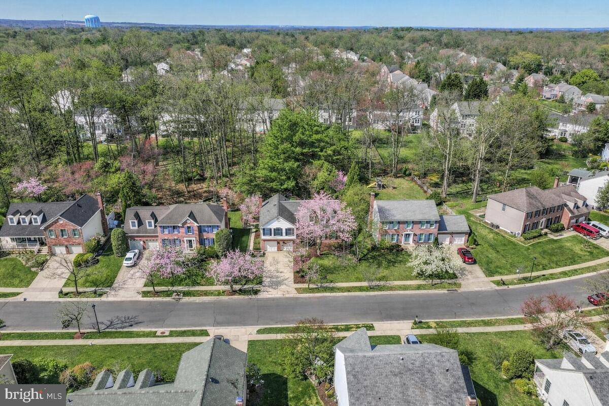 SHIPLEYS CHOICE - Residential