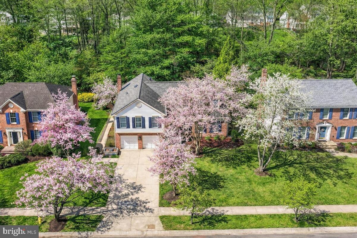 SHIPLEYS CHOICE - Residential