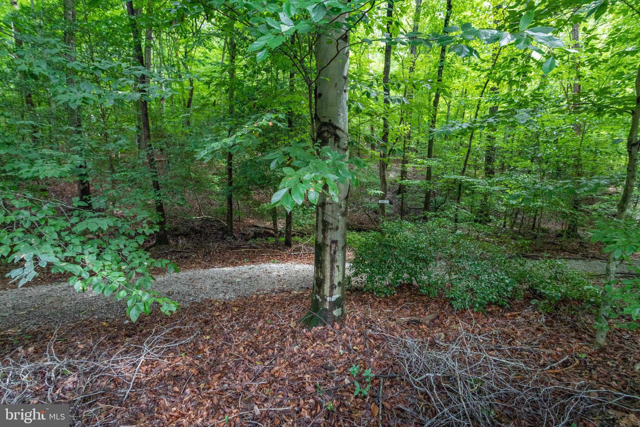 BRITTANY - Residential