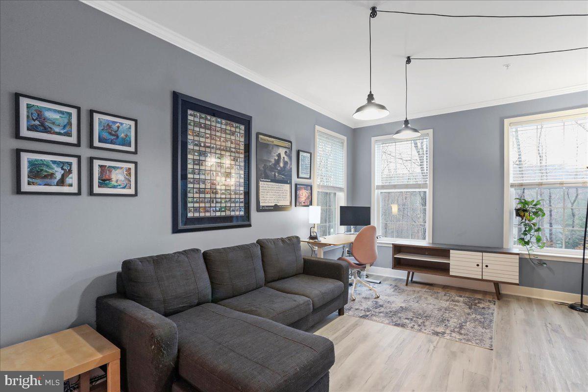 HOLTZINGER OVERLOOK - Residential