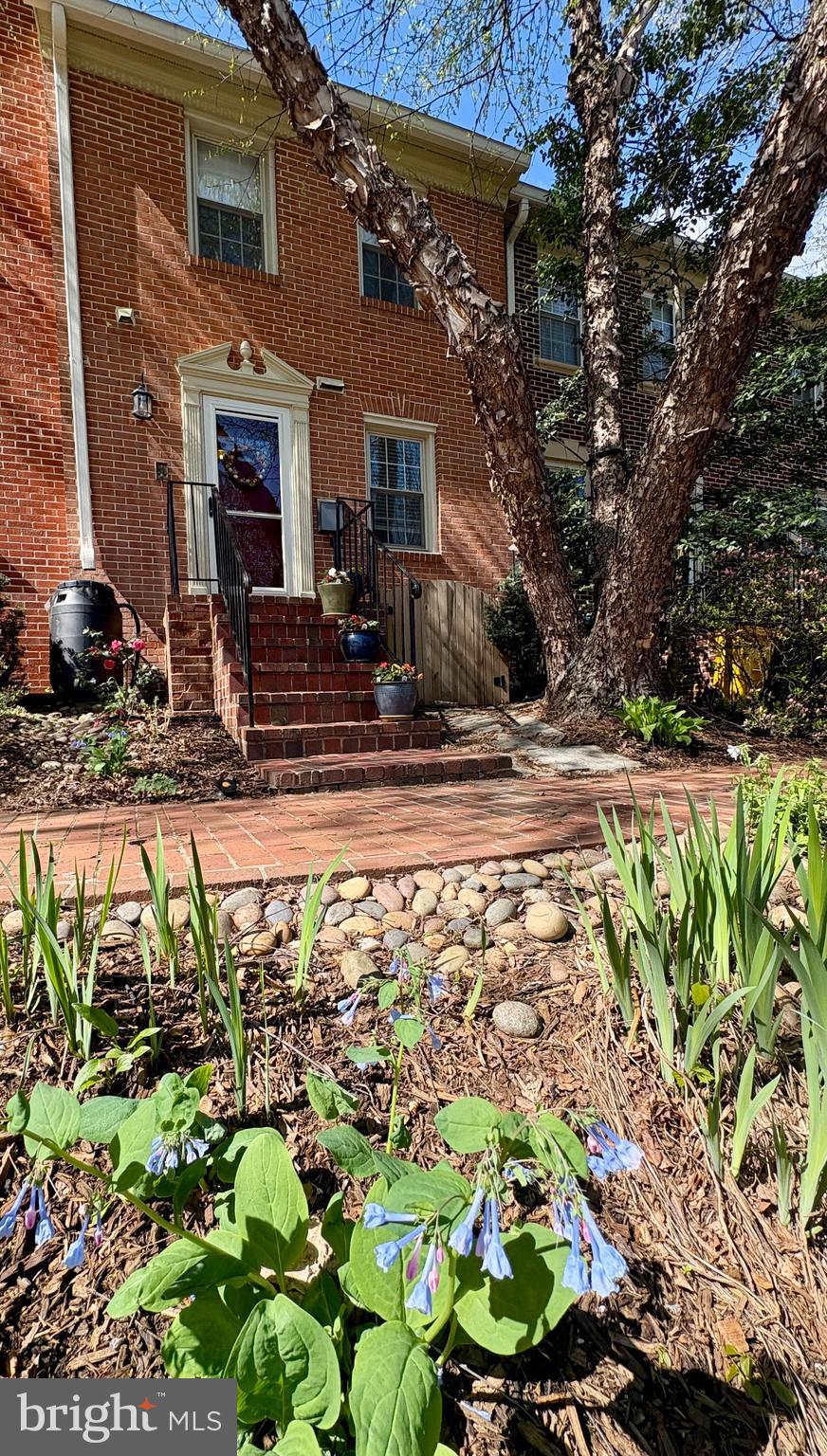 115 GREAT FALLS STREET 7