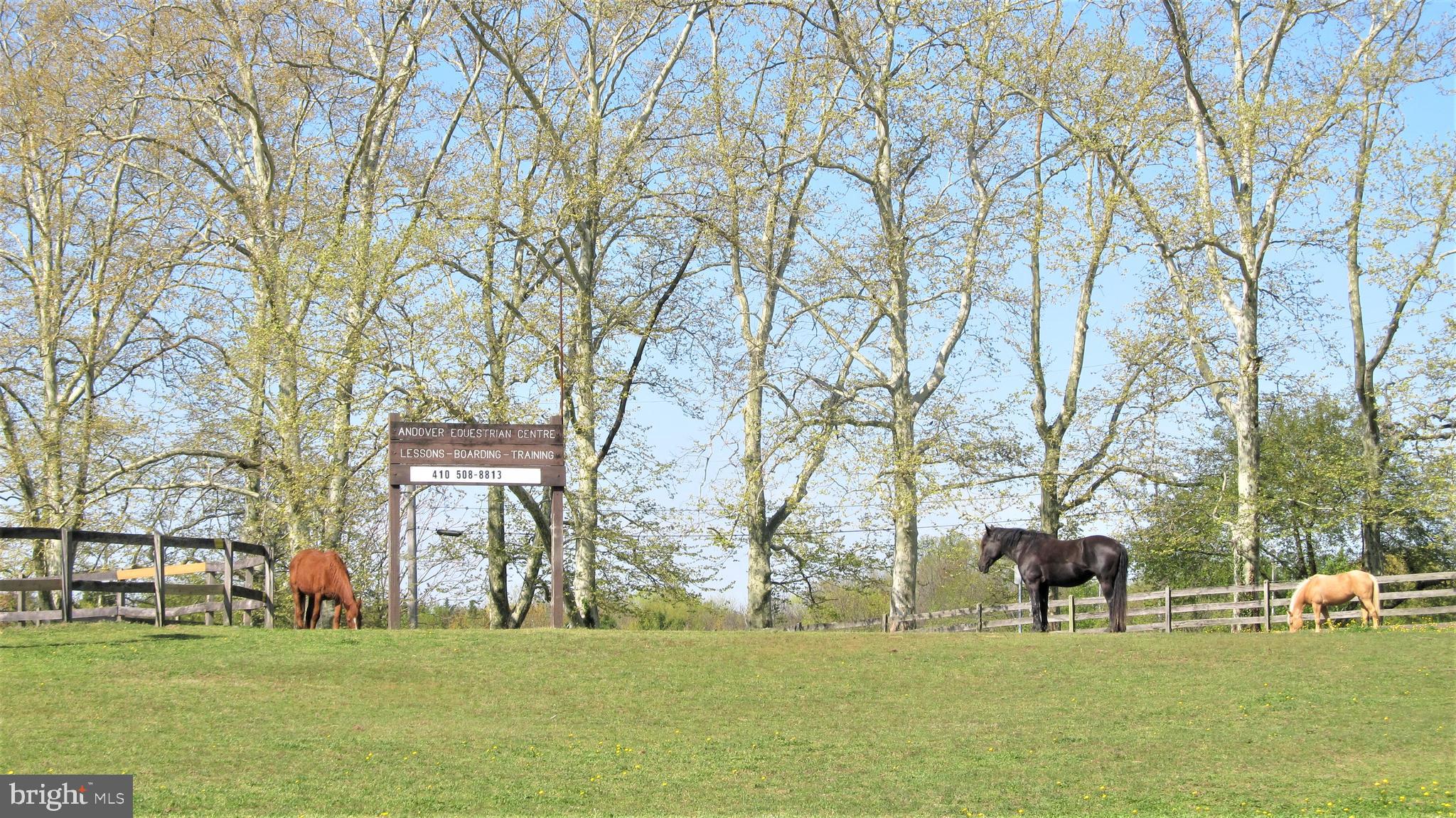 EAST LINTHICUM HEIGHTS - Residential