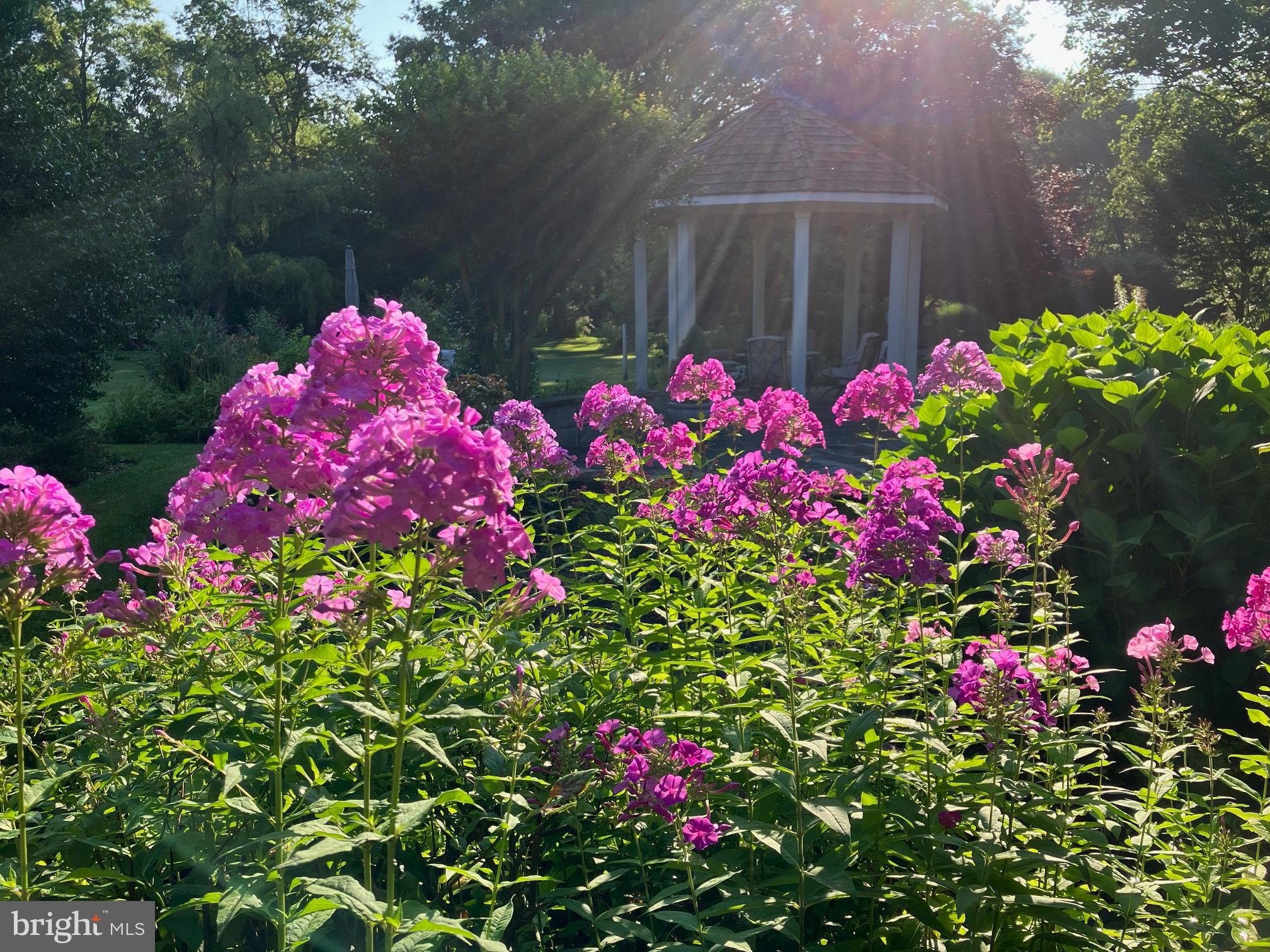 DUNROBIN - Residential