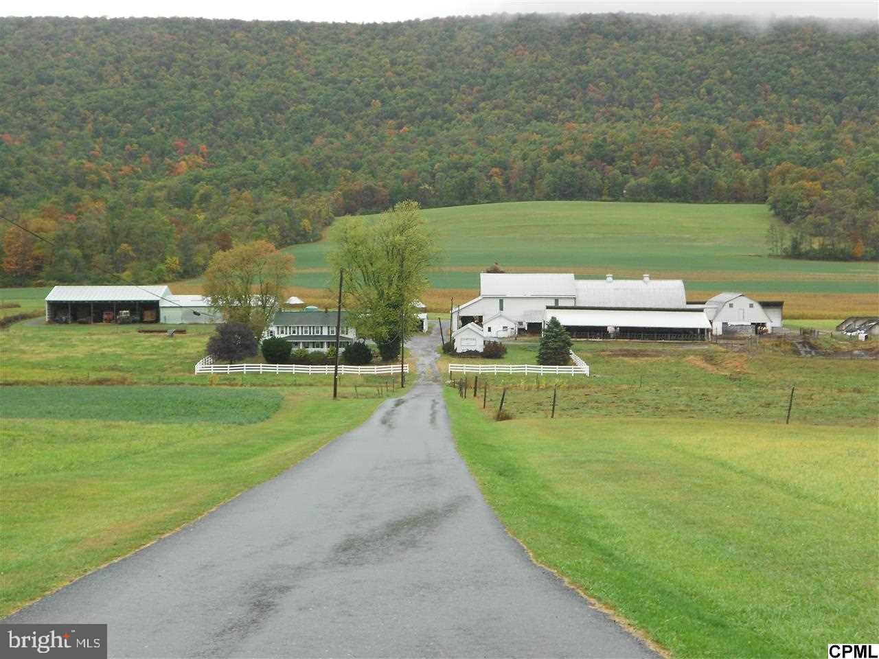 NONE AVAILABLE - Farm