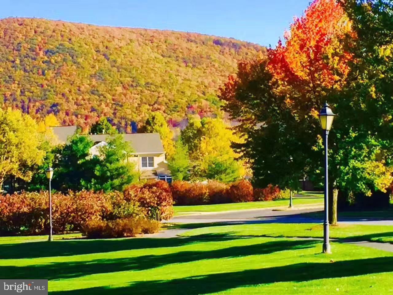 THE HAMLET - Residential