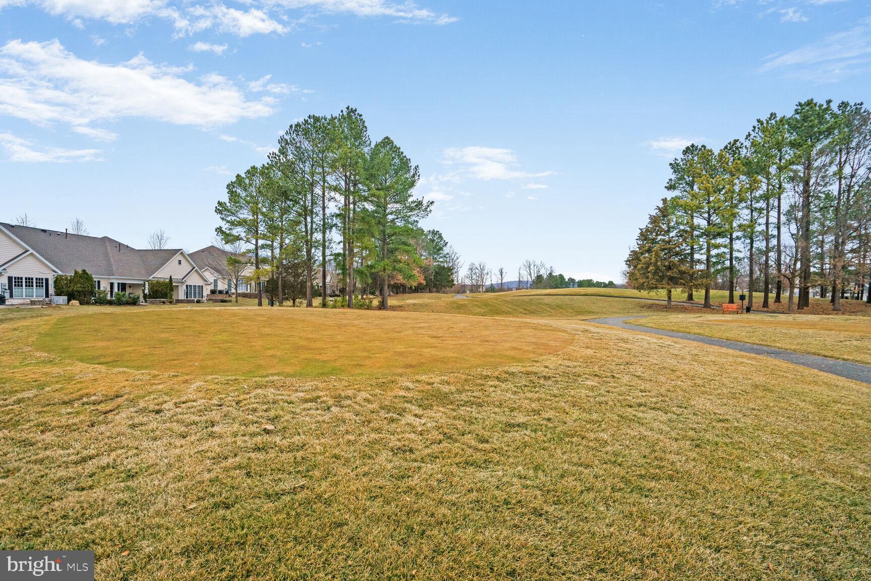 REGENCY AT DOMINION VALLEY - Residential