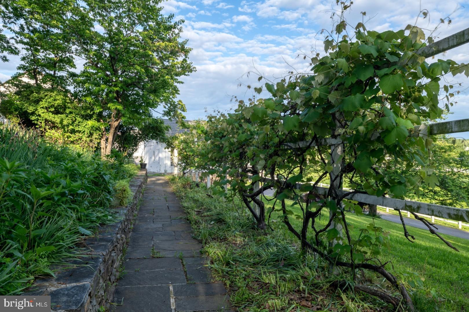 NONE AVAILABLE - Commercial Sale