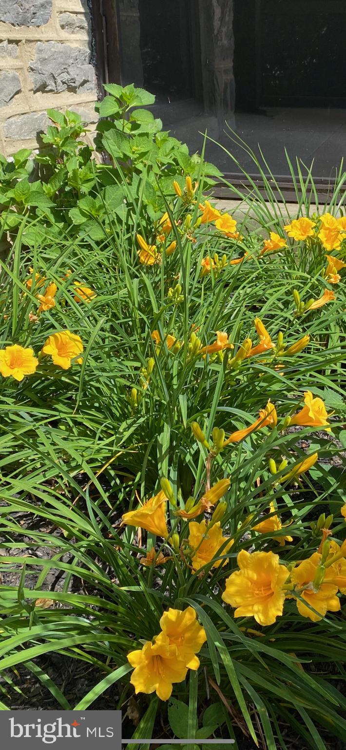 ARONIMINK ESTATES - Residential