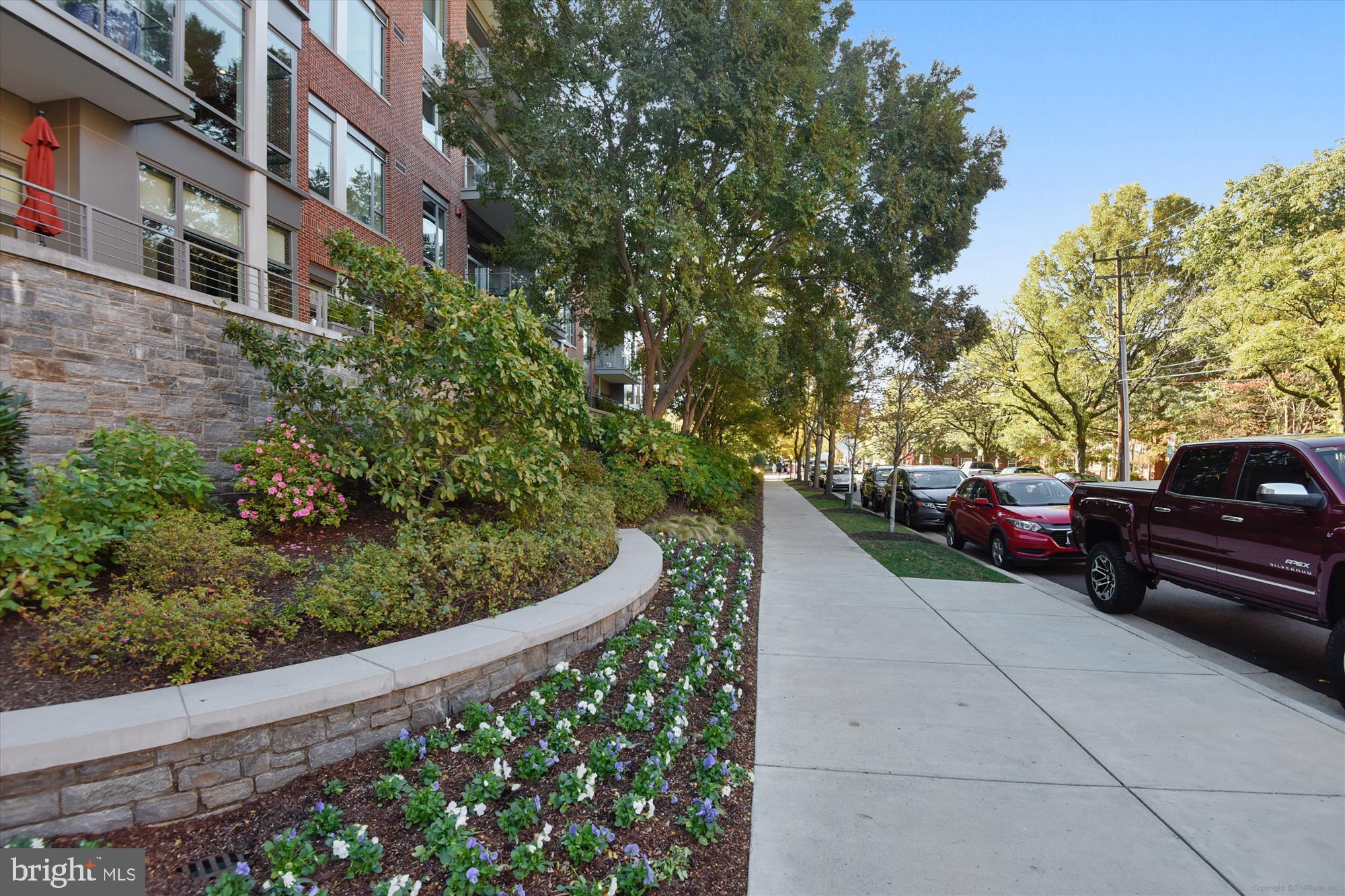 THE ORONOCO - Residential