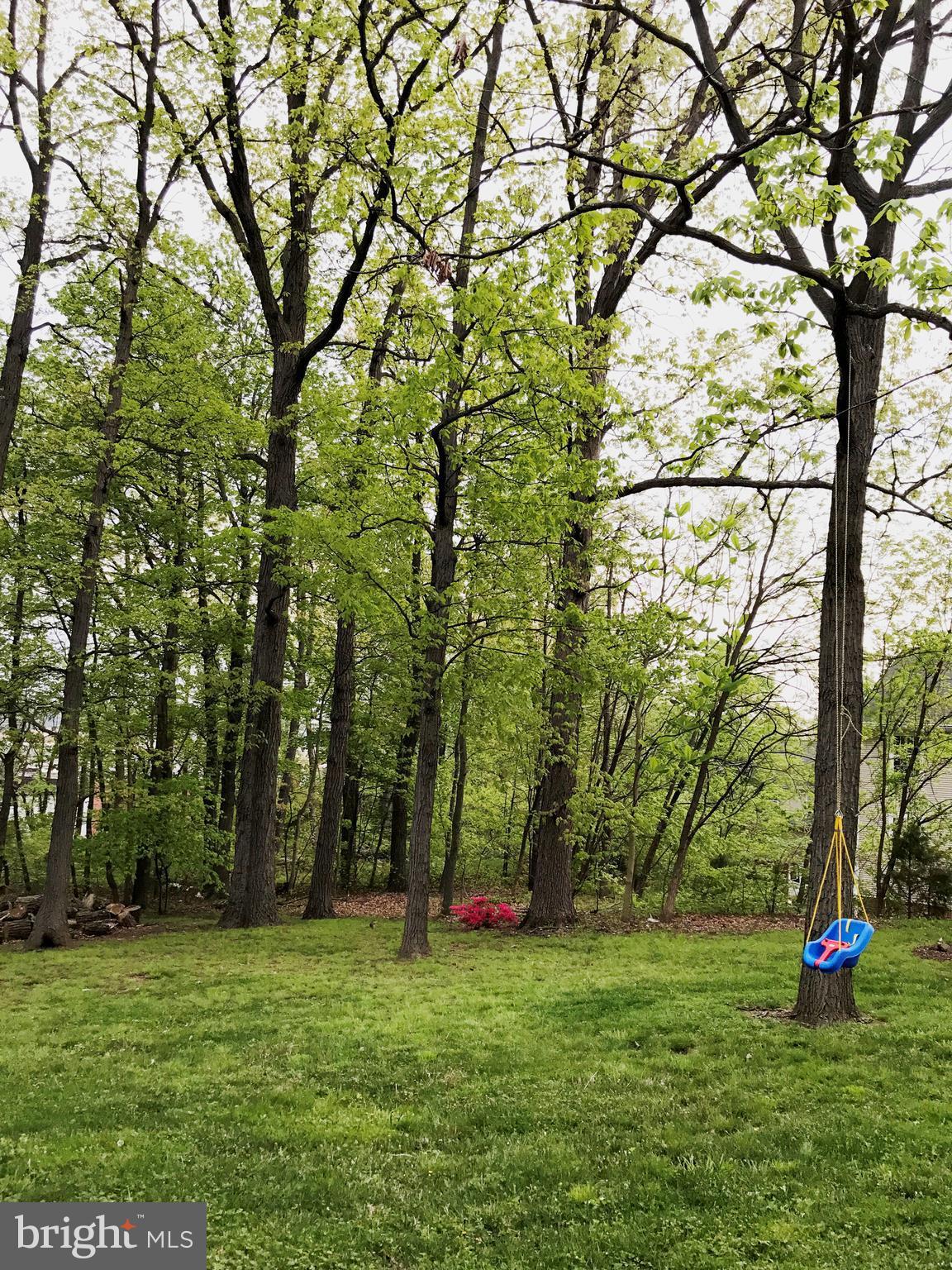 SATYR HILL - Residential