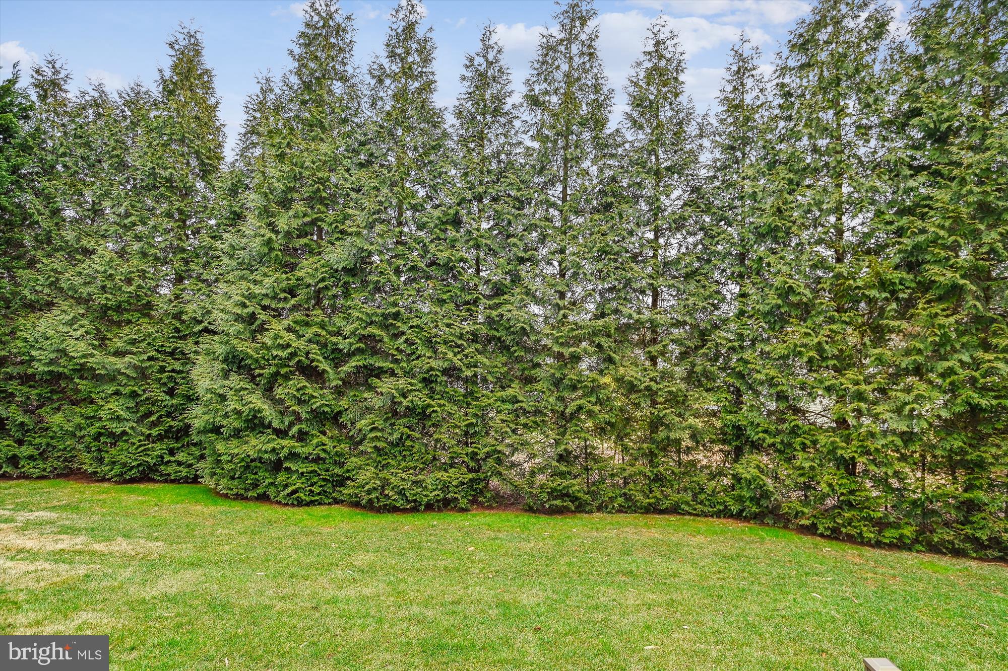 TROTTER WOODS - Residential