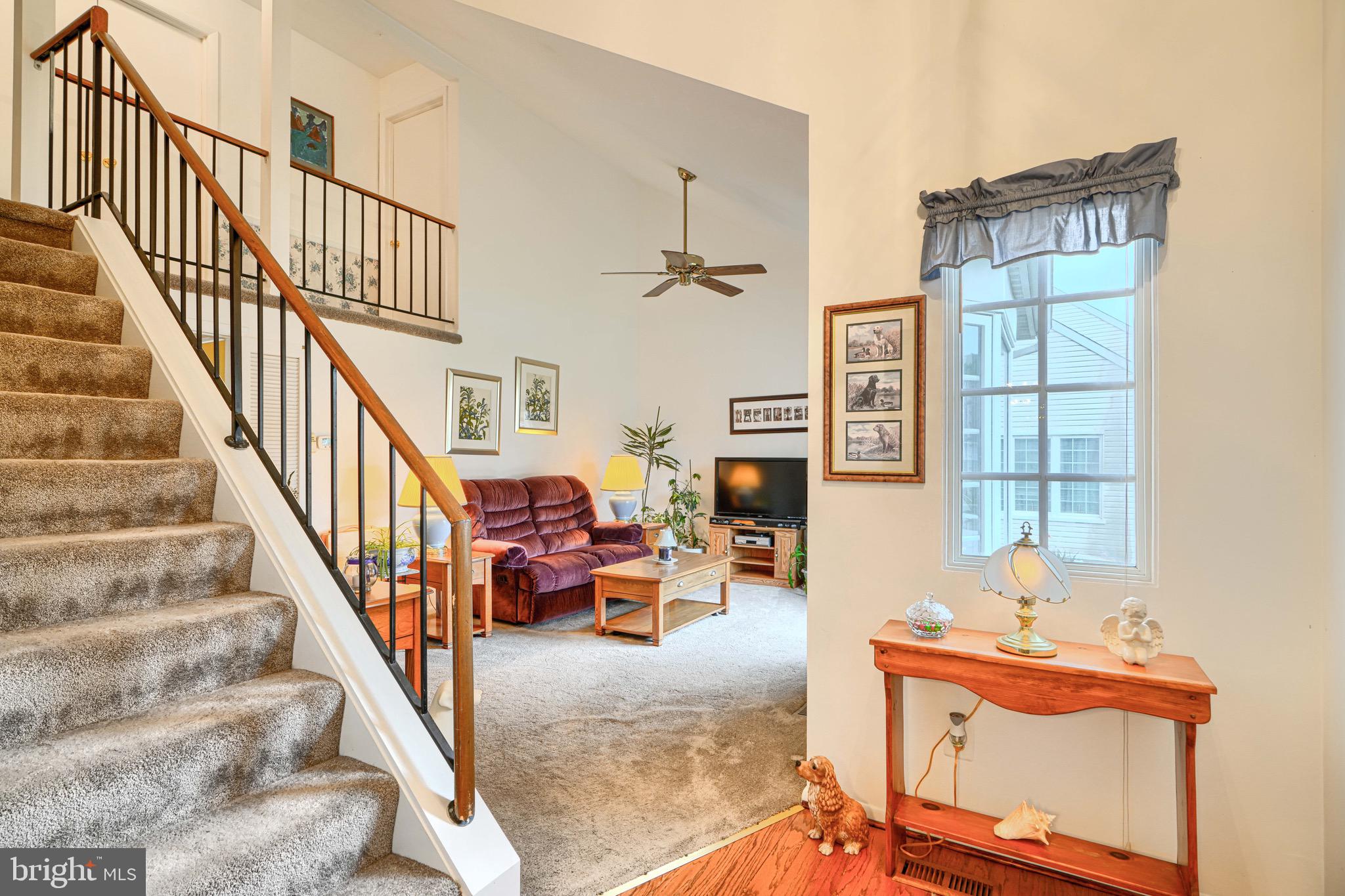CUNNINGHILL COVE - Residential