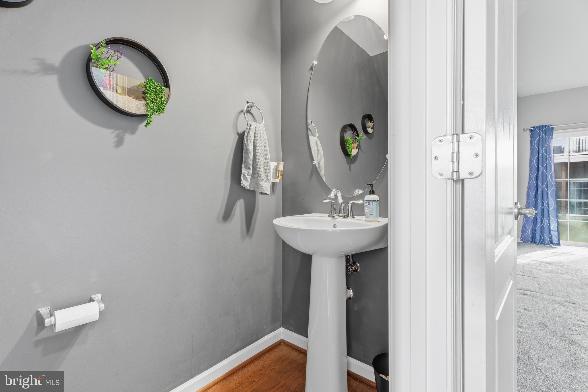 PRESERVE AT WINDLASS RUN - Residential