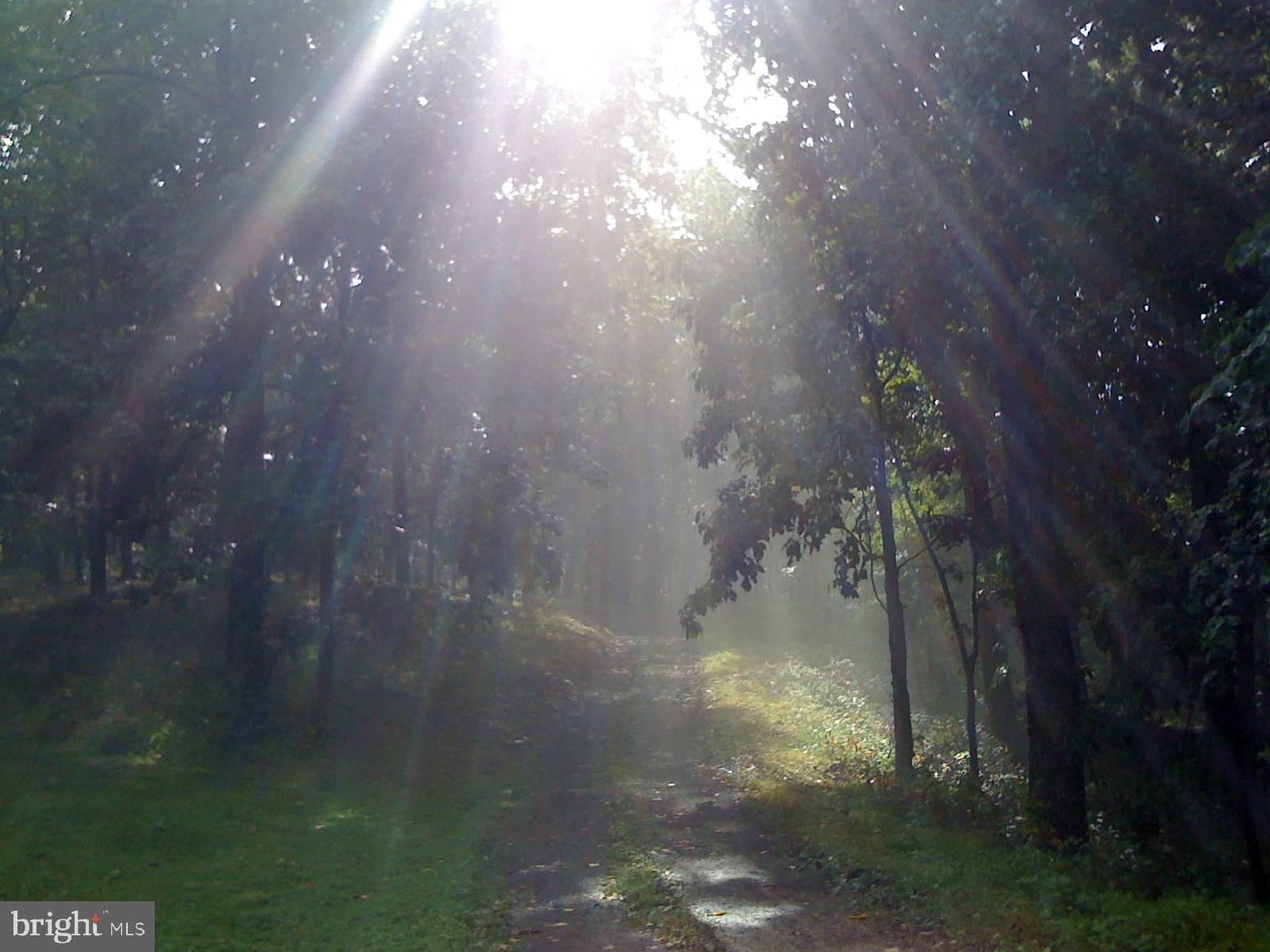 FLINT HILL - Residential