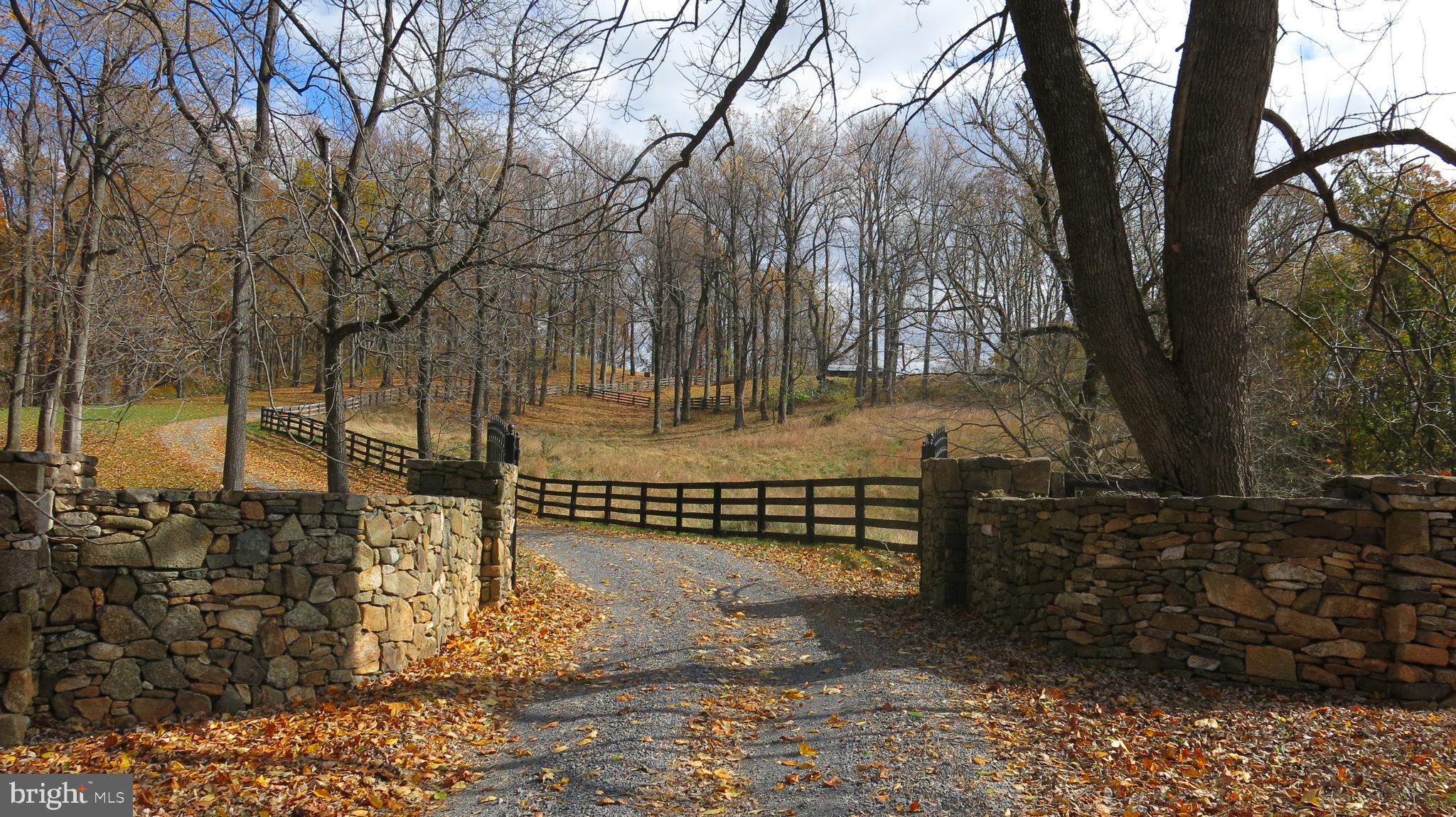 200 FOGG MOUNTAIN LANE